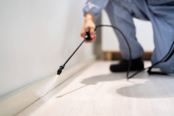 Professional exterminator conducting IPM assessment in Red Boiling Springs