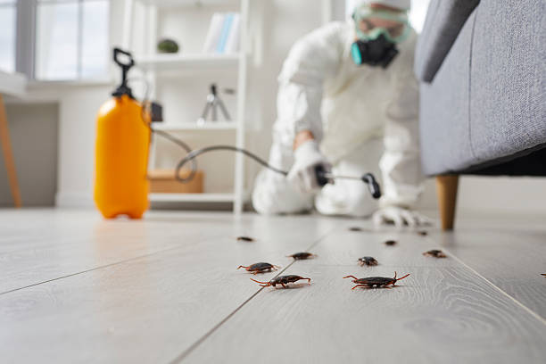 Commercial Rodent Management in Red Boiling Springs